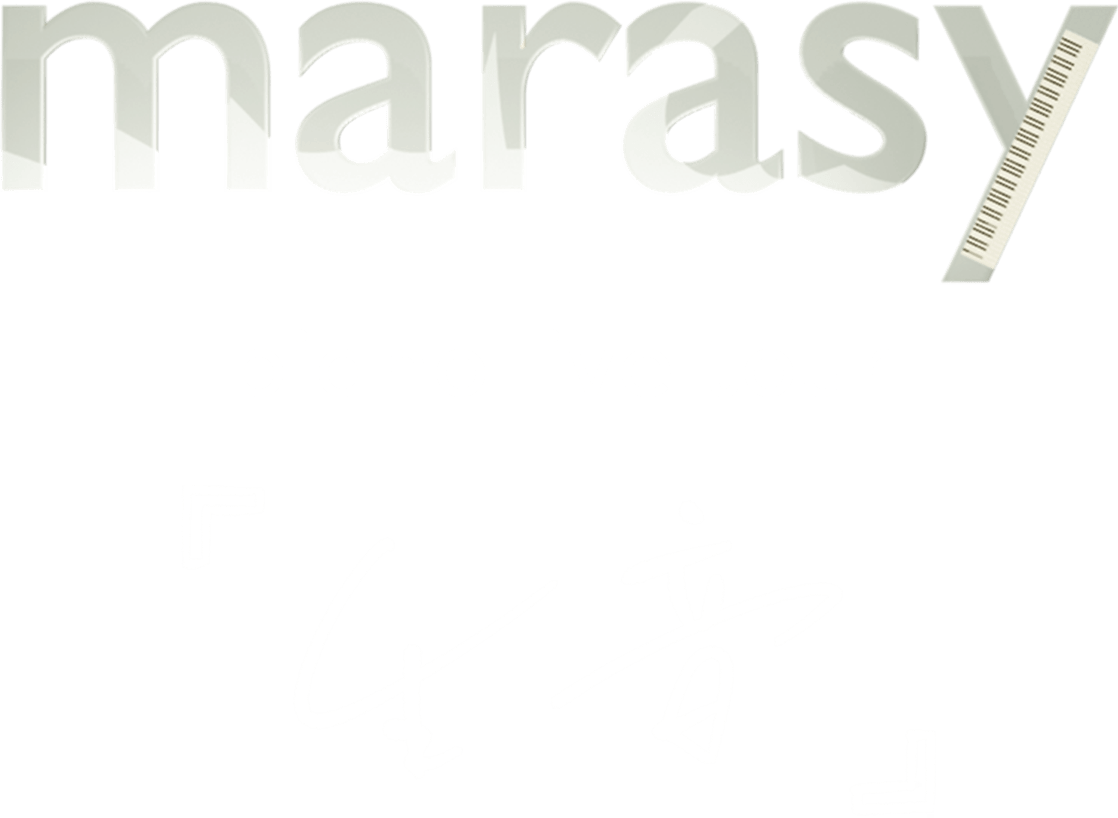 marasy piano live tour『生音』